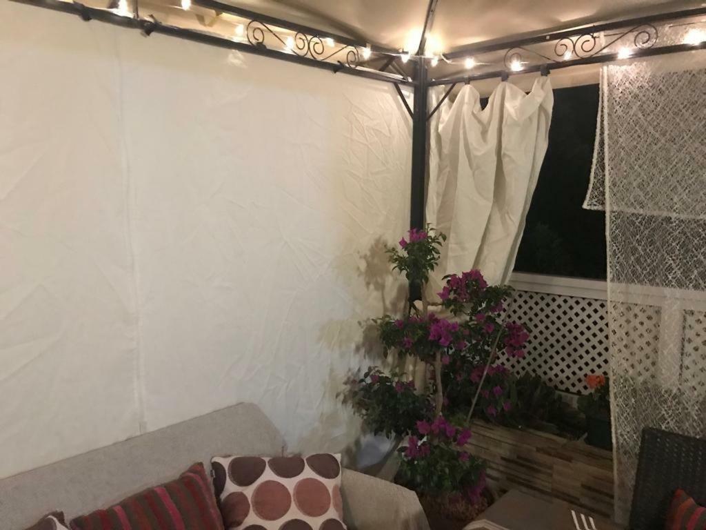 Orlando Apartment أذيخي المظهر الخارجي الصورة