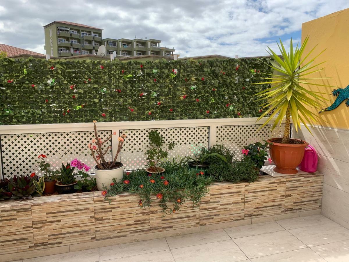 Orlando Apartment أذيخي المظهر الخارجي الصورة
